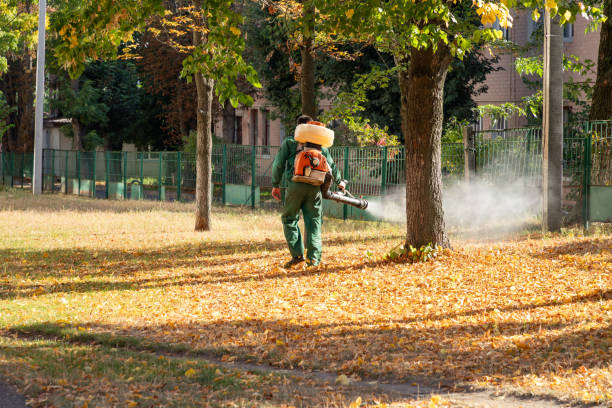 Pest Control Cost in Truckee, CA